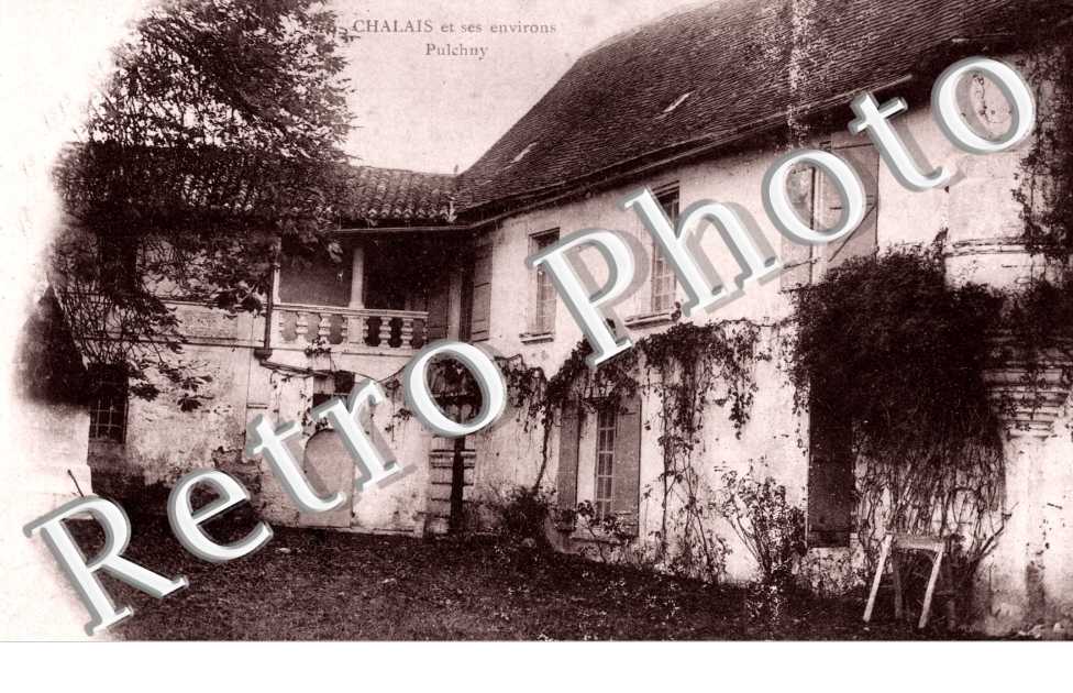 Pulchny