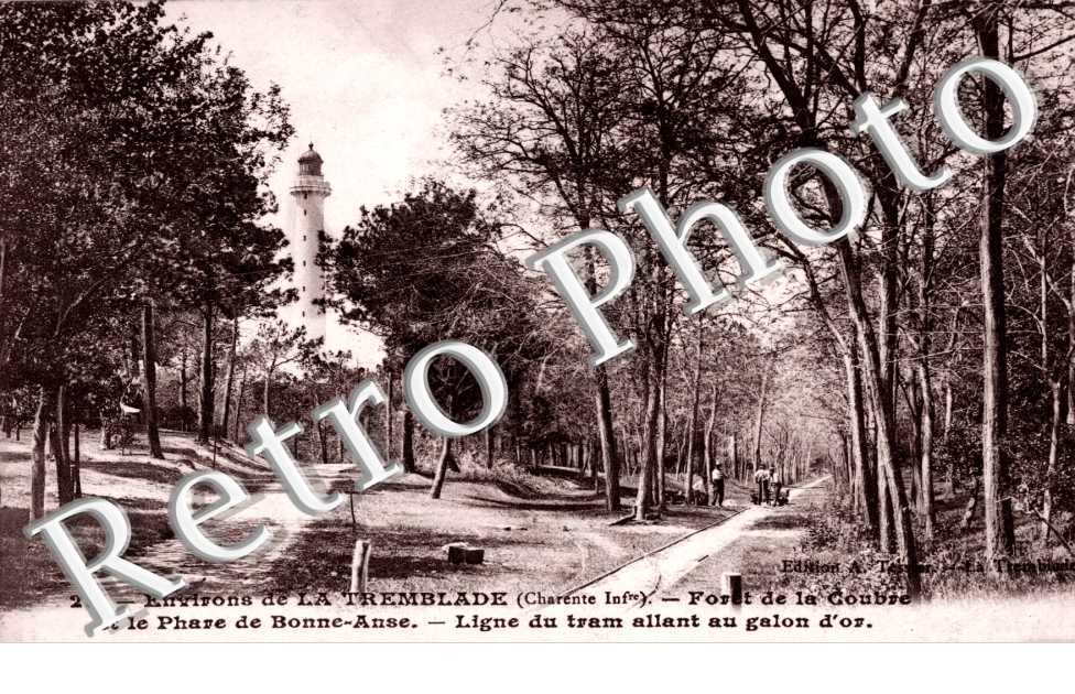 La Foret de la Coubre et le Phare de Bonne Anse