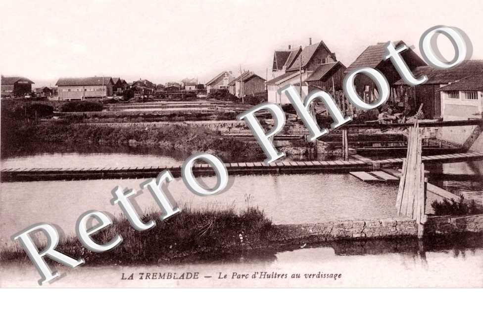 Parc d'Huitres au Verdissage