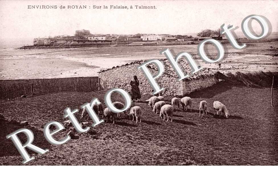 Sur la Falaise