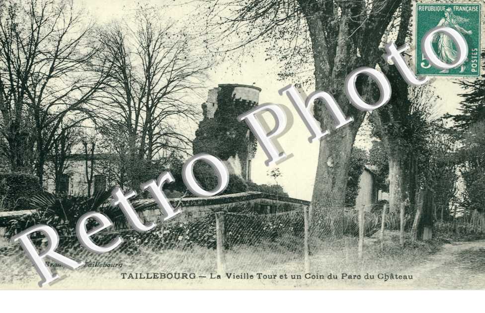 la vieille tour et un coin du parc du chateau