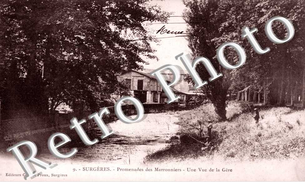 promenades des marronniers