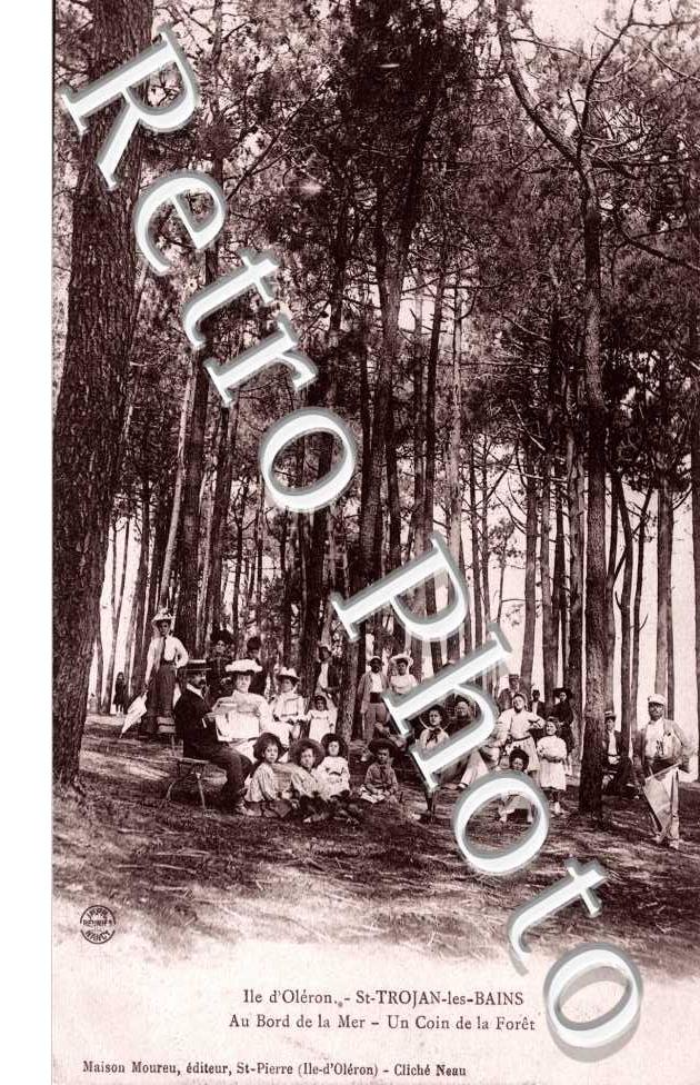 Au Bord de la Mer, un Coin de la Foret