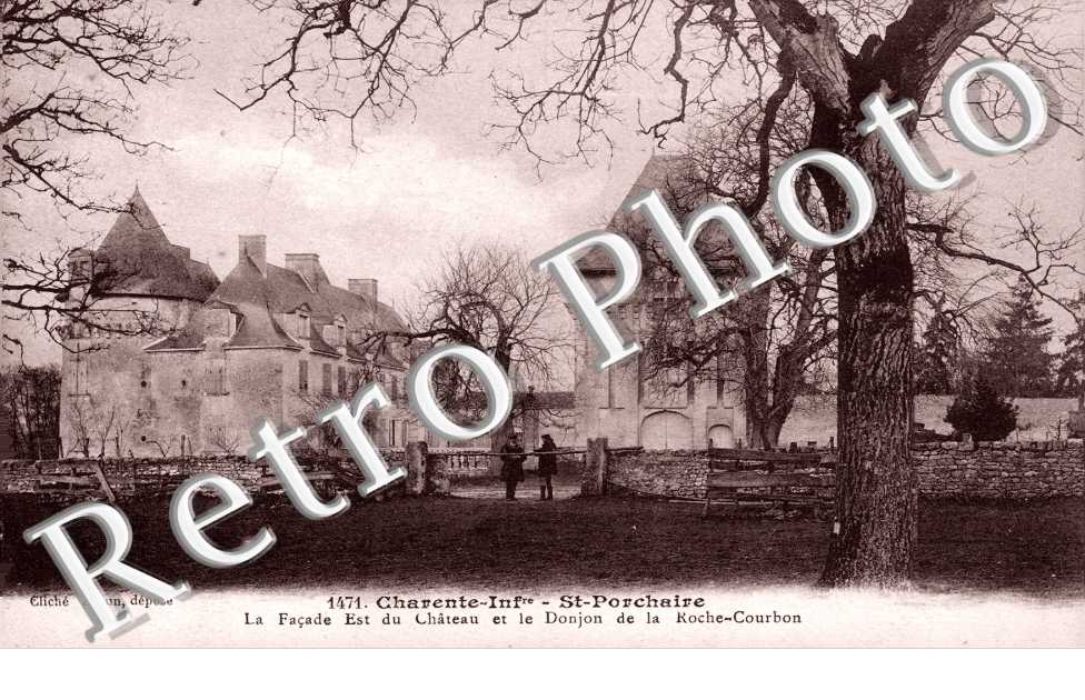 chateau de la Roche Courbon