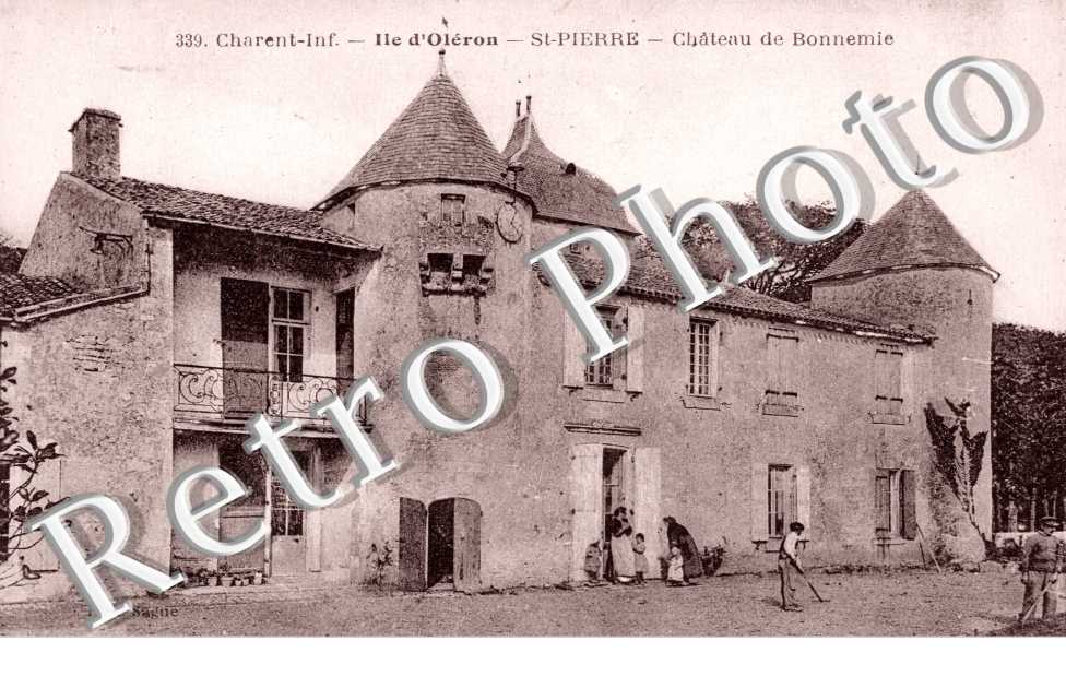 Chateau de Bonnemie