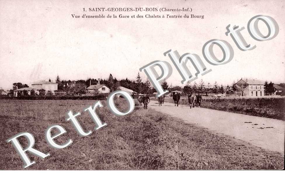 vue d'ensemble de la gare et des chalets a l'entree du bourg