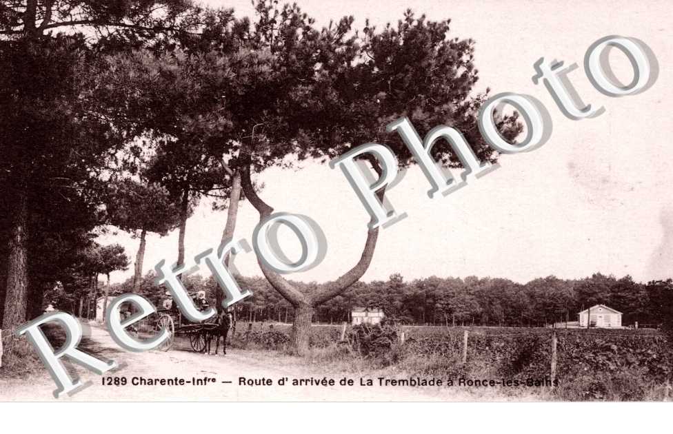 route d'arrivee de la tremblade a Ronce-les-Bains