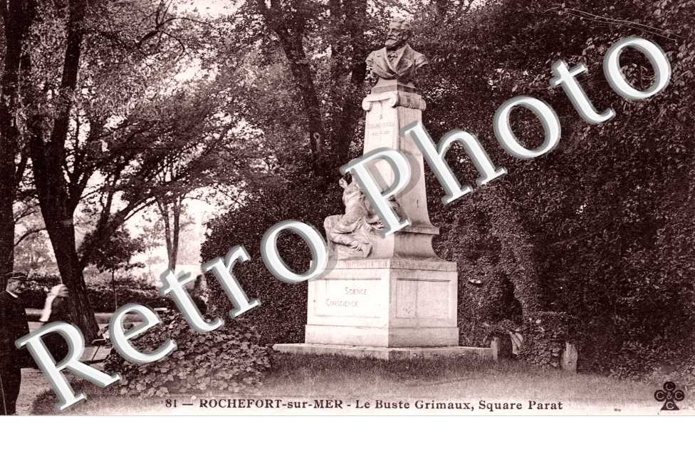 Buste Grimaux Square Parat