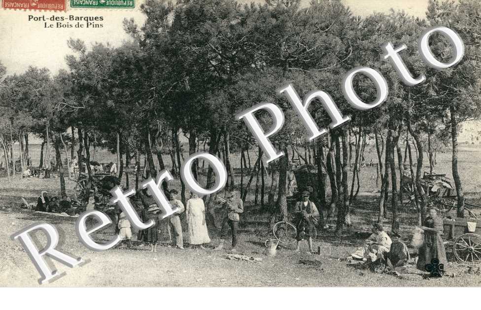 Le bois de Pins