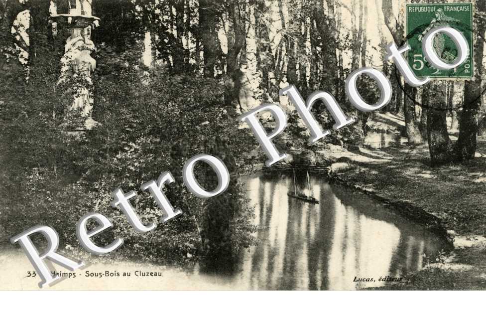 Sous-bois au Cluzeau