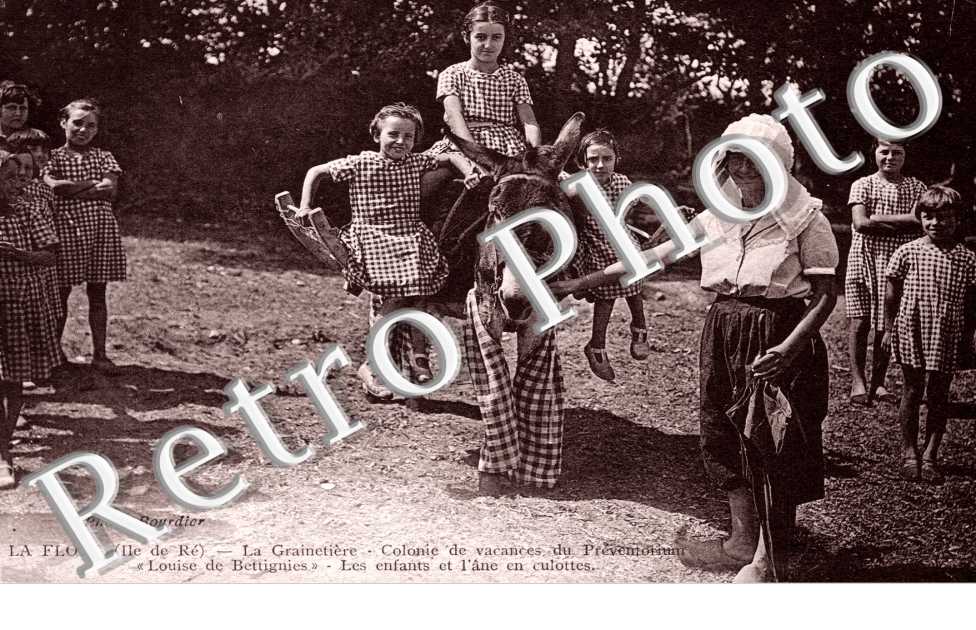 La Grainetiere Colonie de vacances du Preventorium " Louise de Bettignies " Les enfants et l'ane en culottes