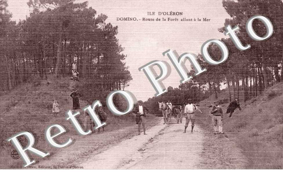 Route de la foret allant a la mer