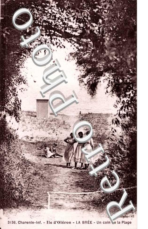 Un coin de la plage