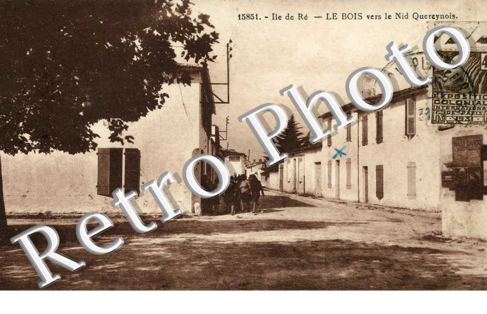 Le Bois vers le Nid Quereynois