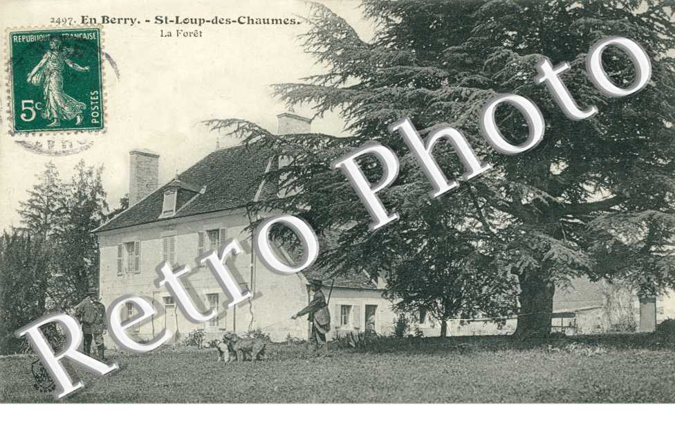 la Forêt