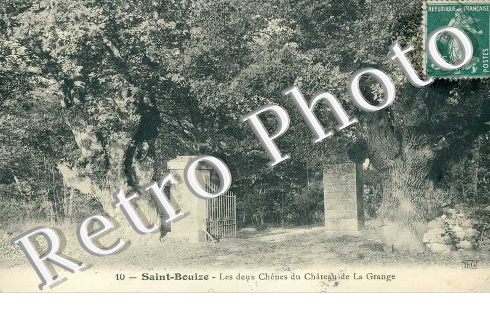 Les deux chenes du Chateau de la Grange