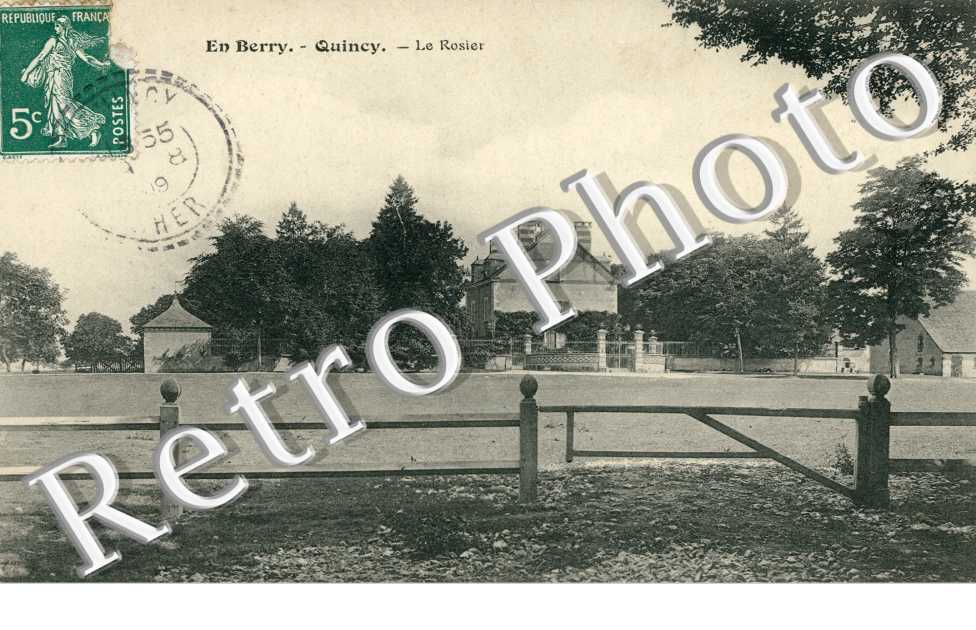 le rosier