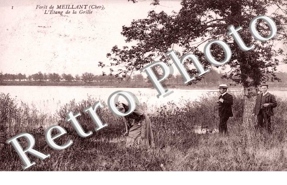 l'etang de la grille