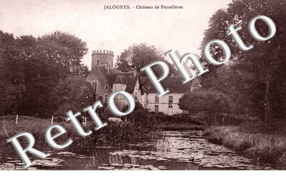 Chateau de Pesselieres