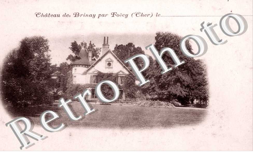 chateau de Brinay