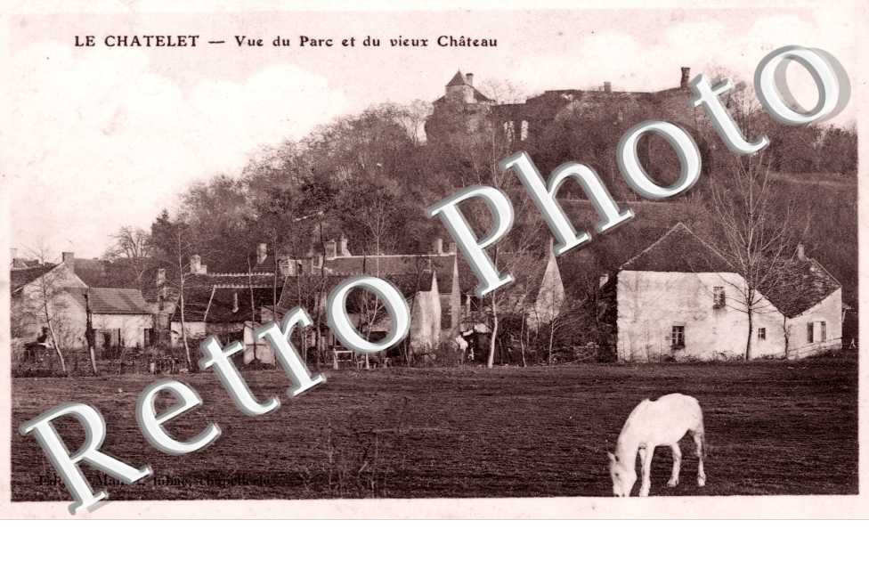 vue du parc et du vieux chateau
