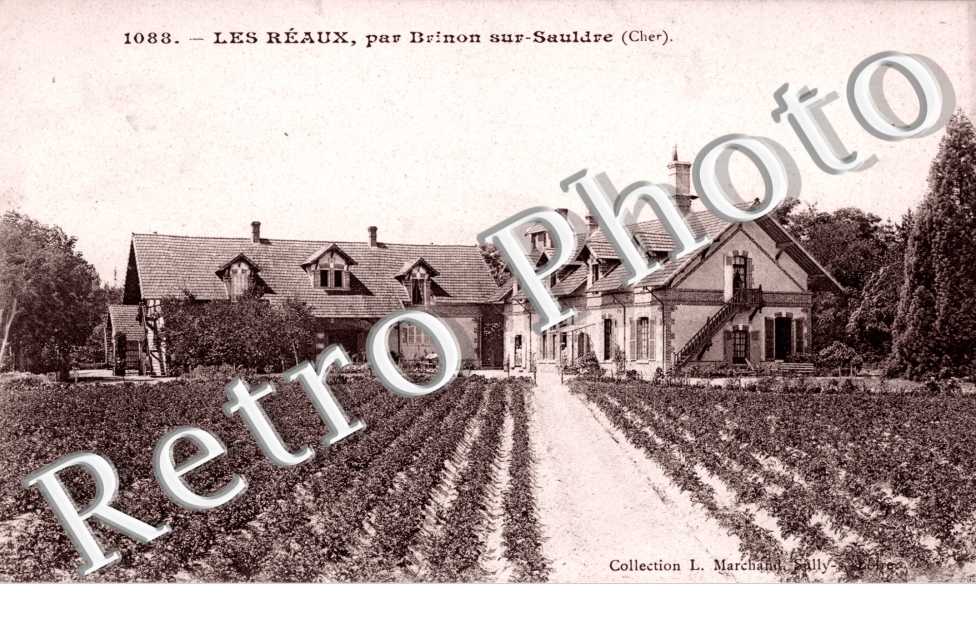 Les REAUX  