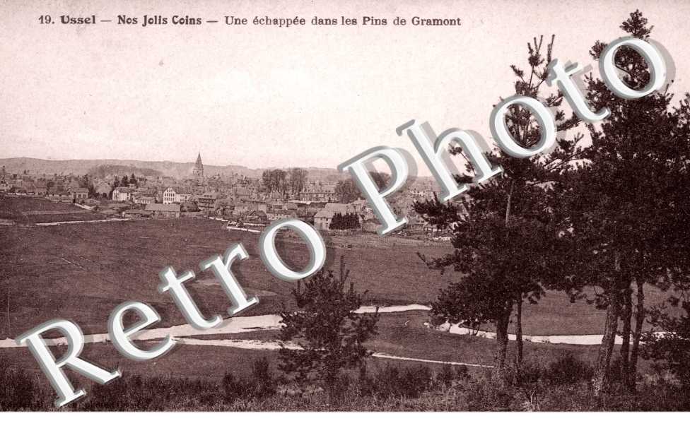 Echappee dans les Pins de Gramont