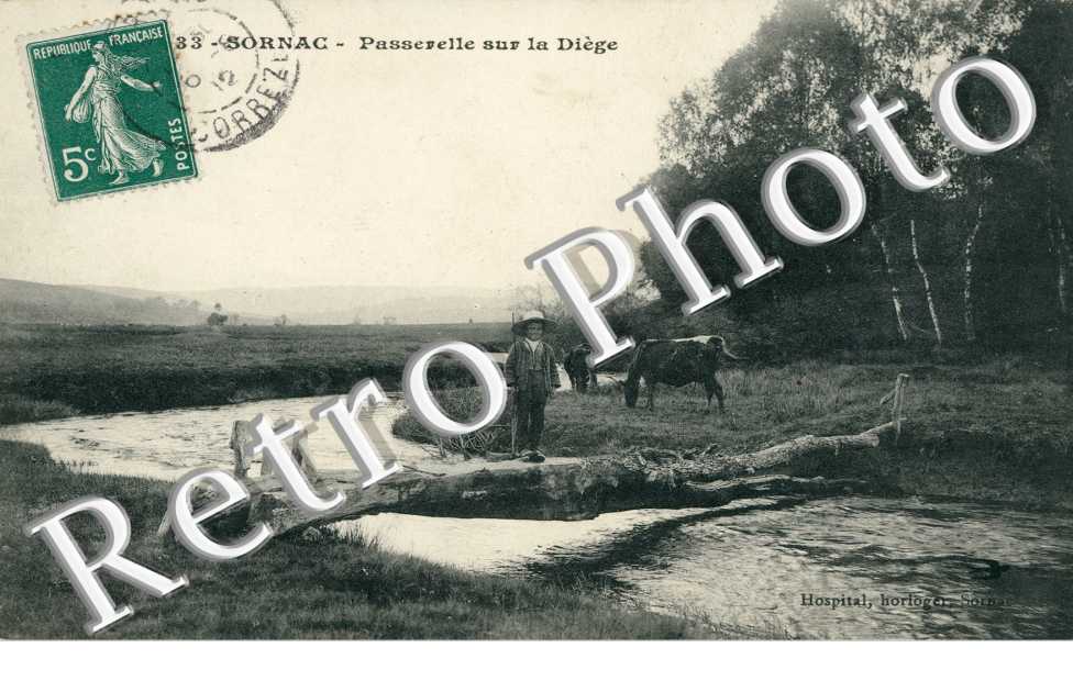 Passerelle sur la Diege
