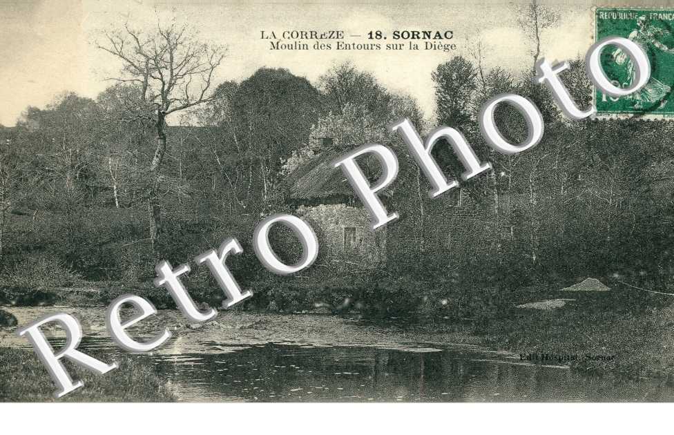 Moutons au Paturage