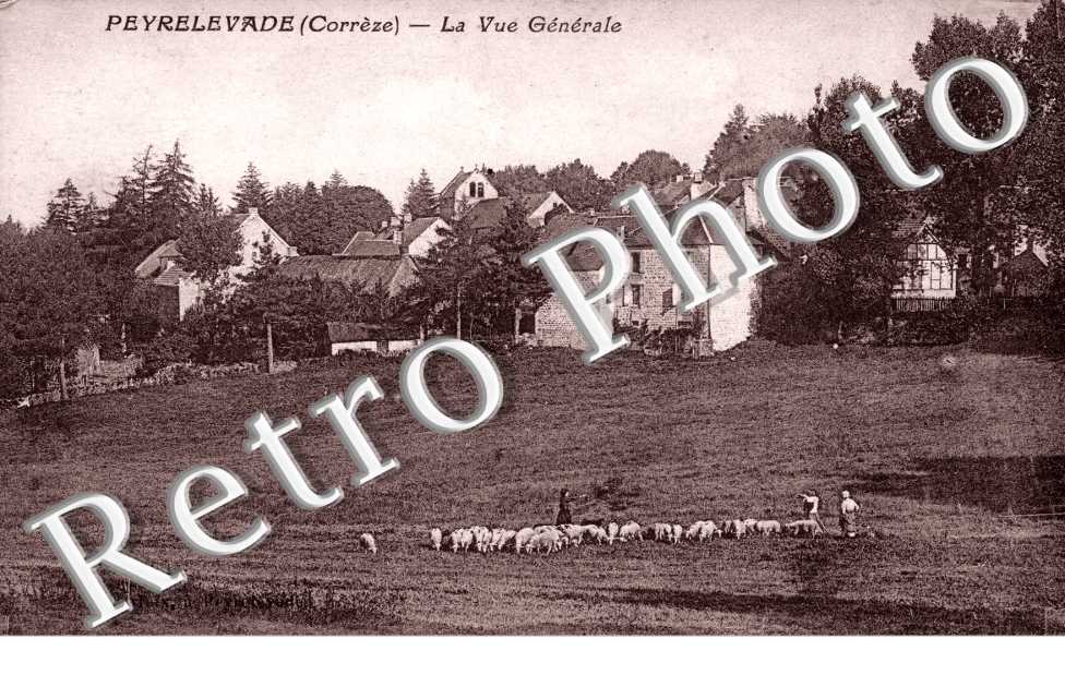 la vue generale