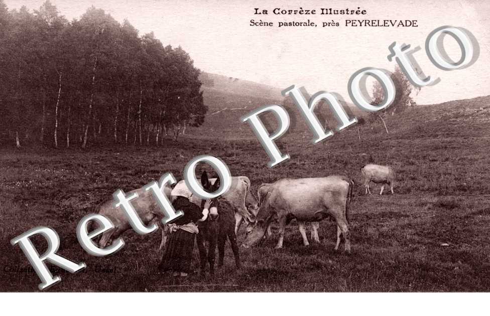 scene pastorale