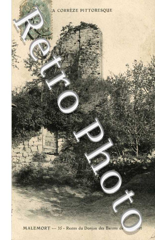 Restes du Donjon des Barrons de Malemort