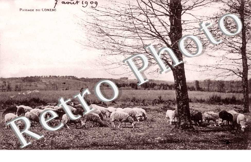 Paysage