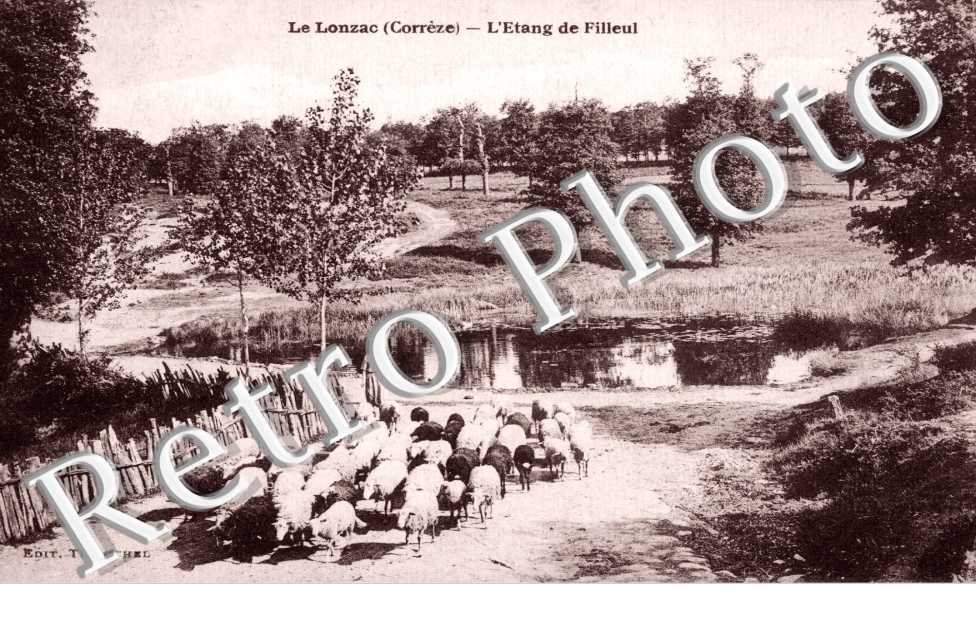 L'Etang de Filleul
