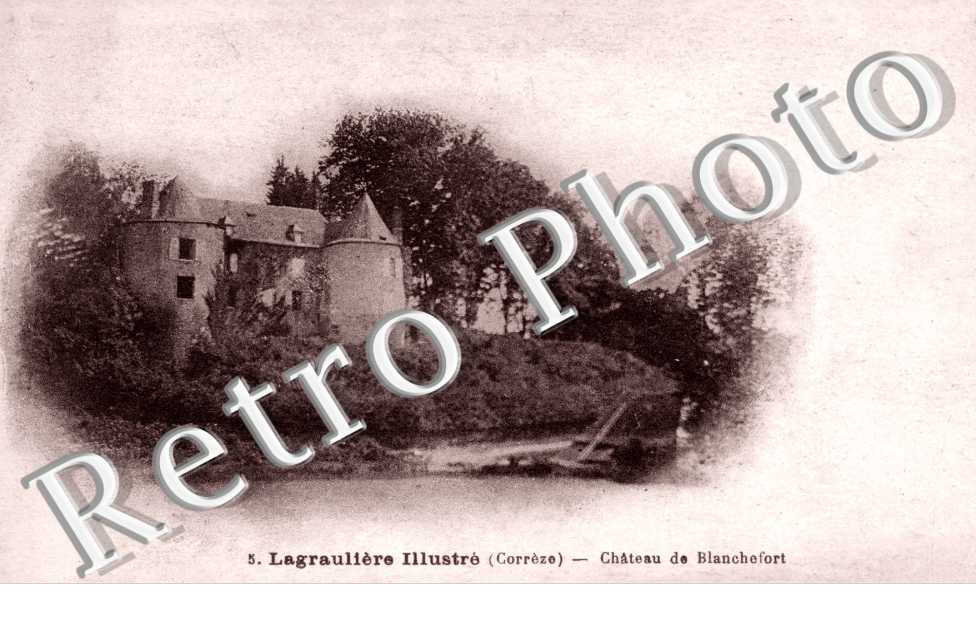 Chateau de Blanchefort