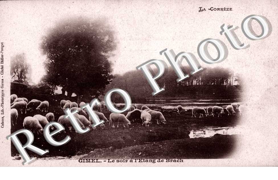 le soir a l'etang de Brach