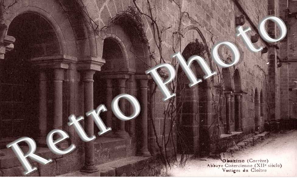 Abbaye Cistercienne - Vestiges du Cloitre