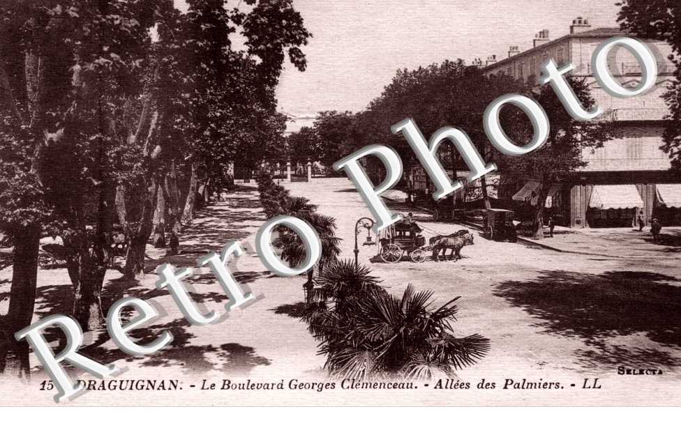 Le Boulevard Georges Clemenceau - Allees des Palmiers