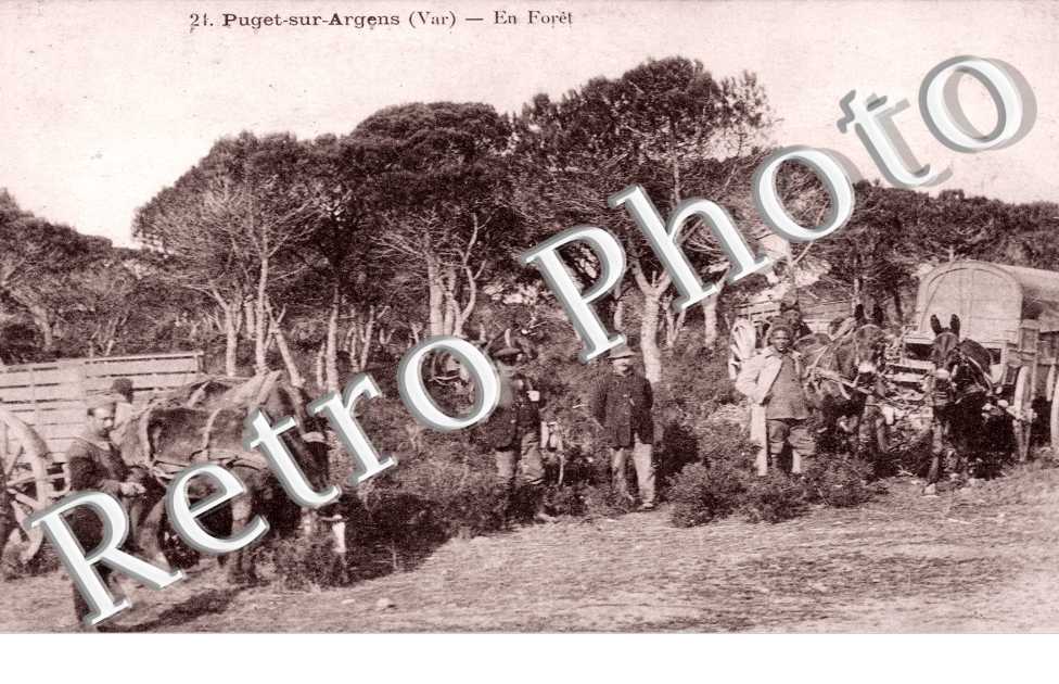 En foret