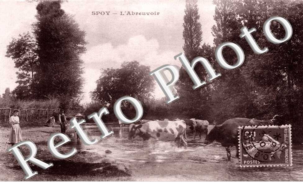 l'abreuvoir