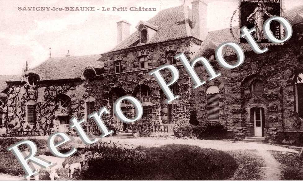 le petit chateau