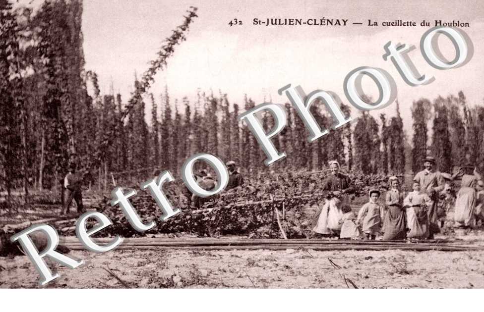Saint Julien Clenay, cueillette du Houblon