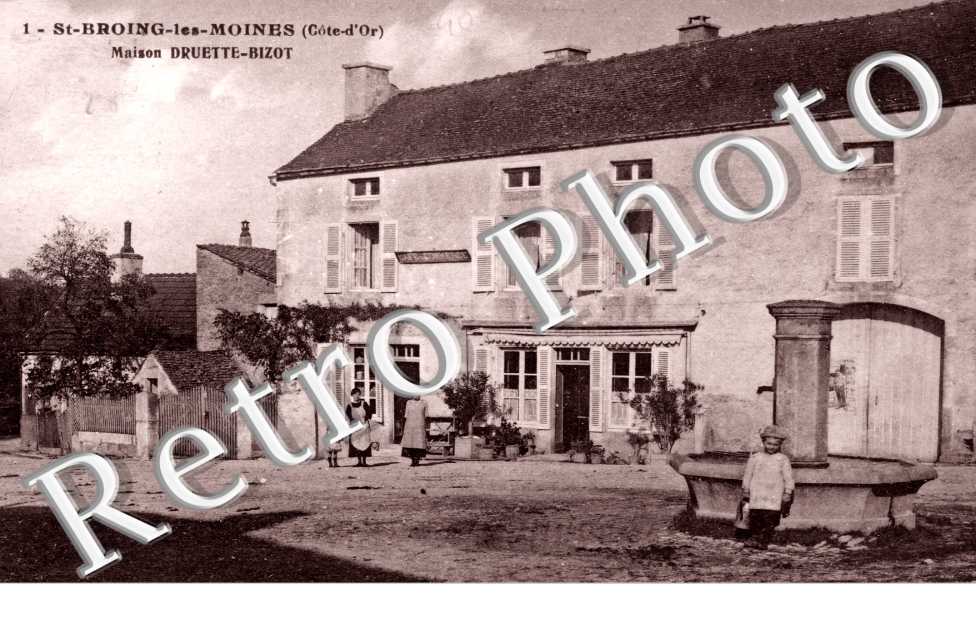 maison druette bizot