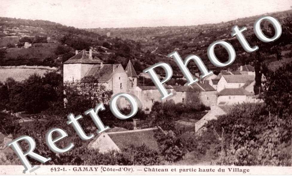 Gamay, le Chateau