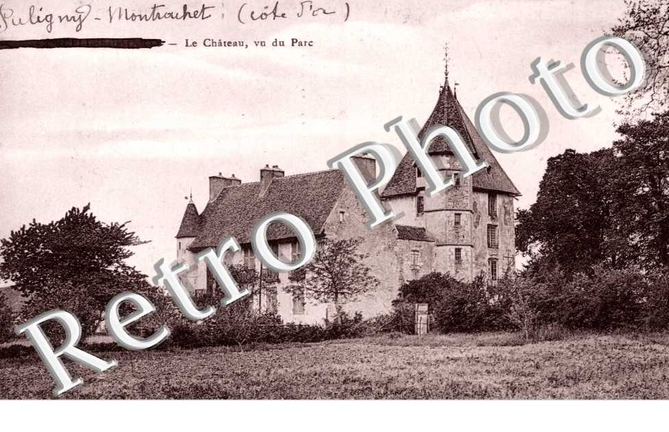 Le Chateau vu du Parc