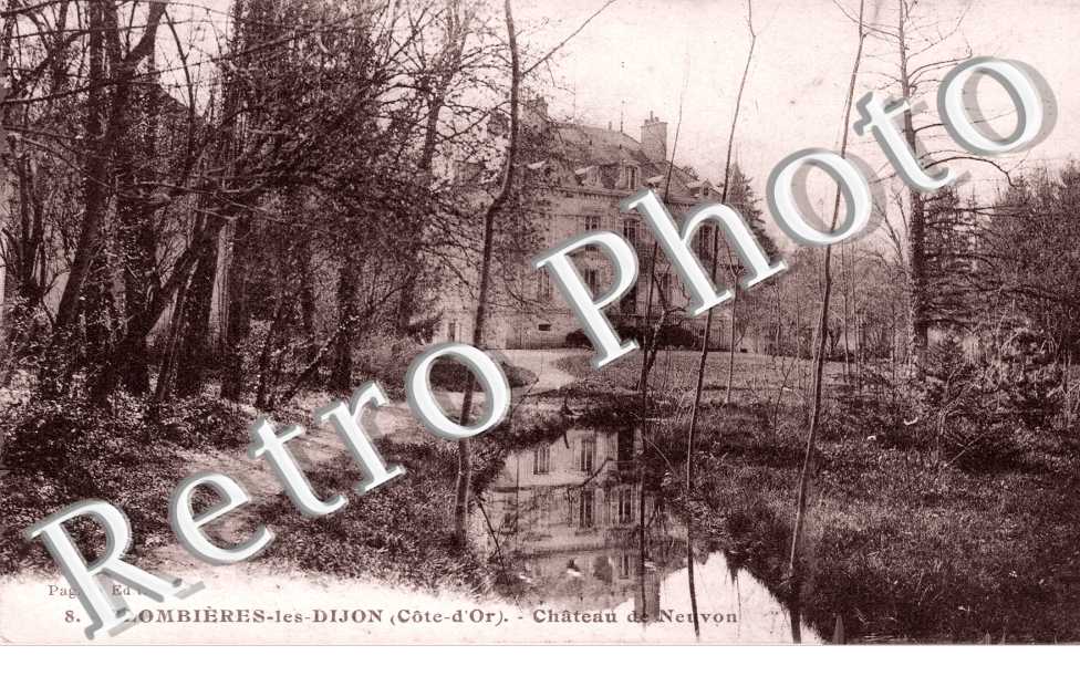 Chateau de Neuvon