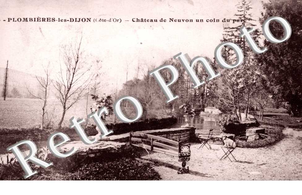 Chateau de Neuvon