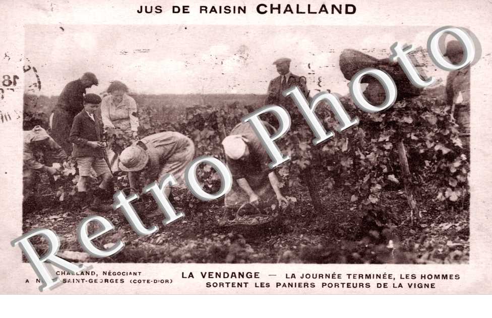 Les Vendanges, Jus de Raisin Challand