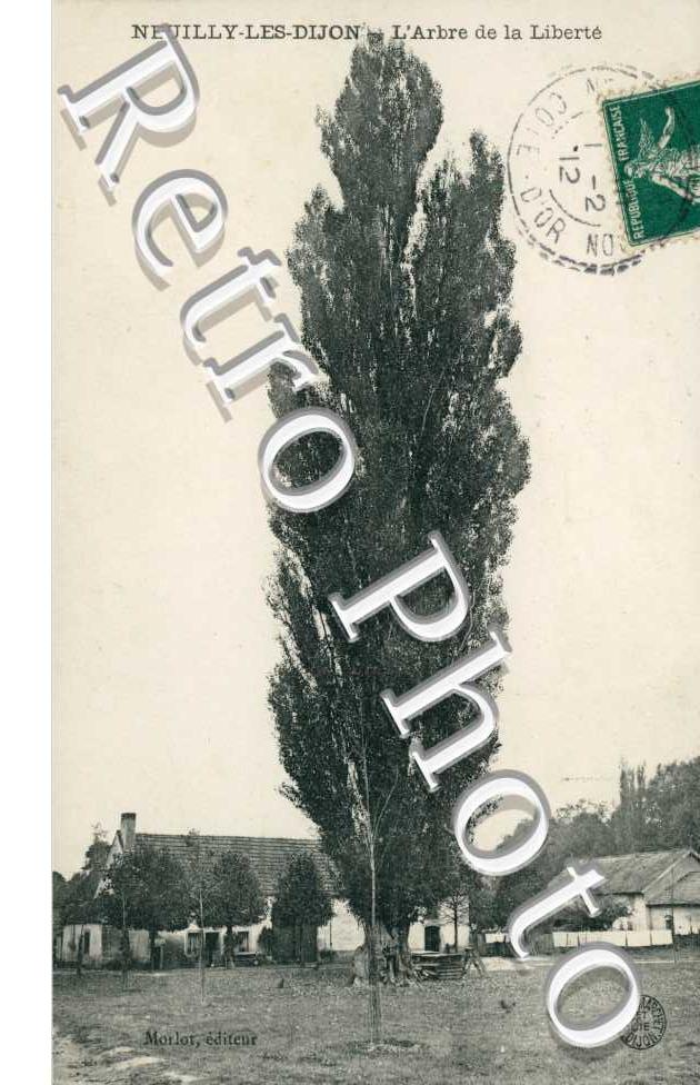 l'Arbre de la Liberte