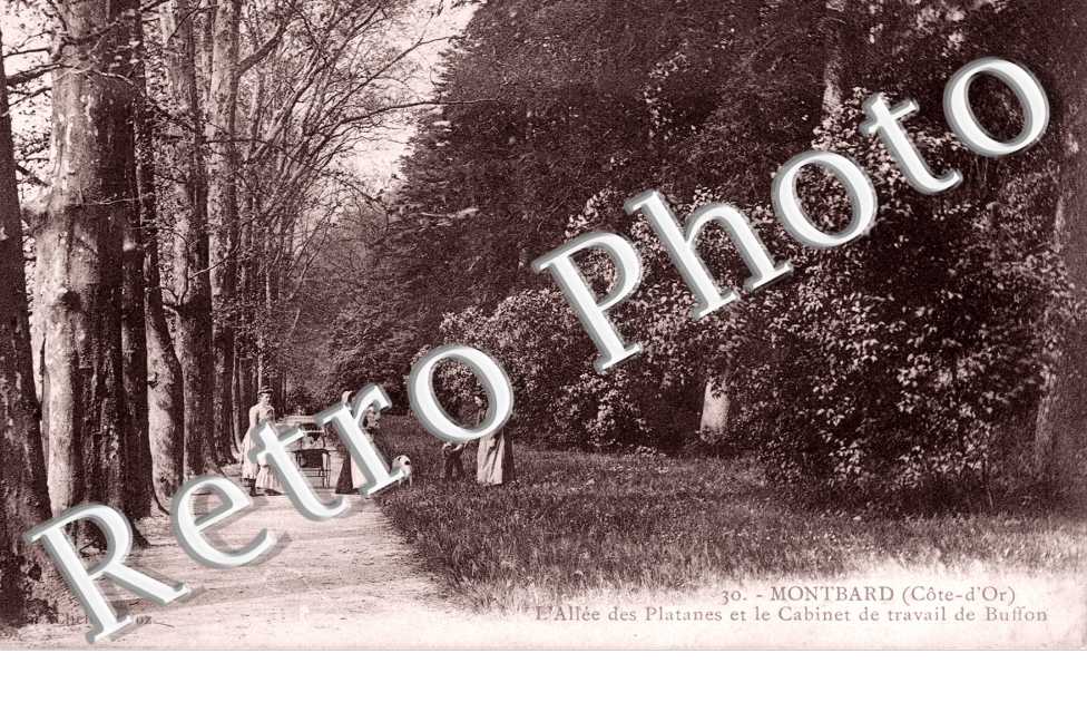 Allee des Platanes et Cabinet de Travail de Buffon